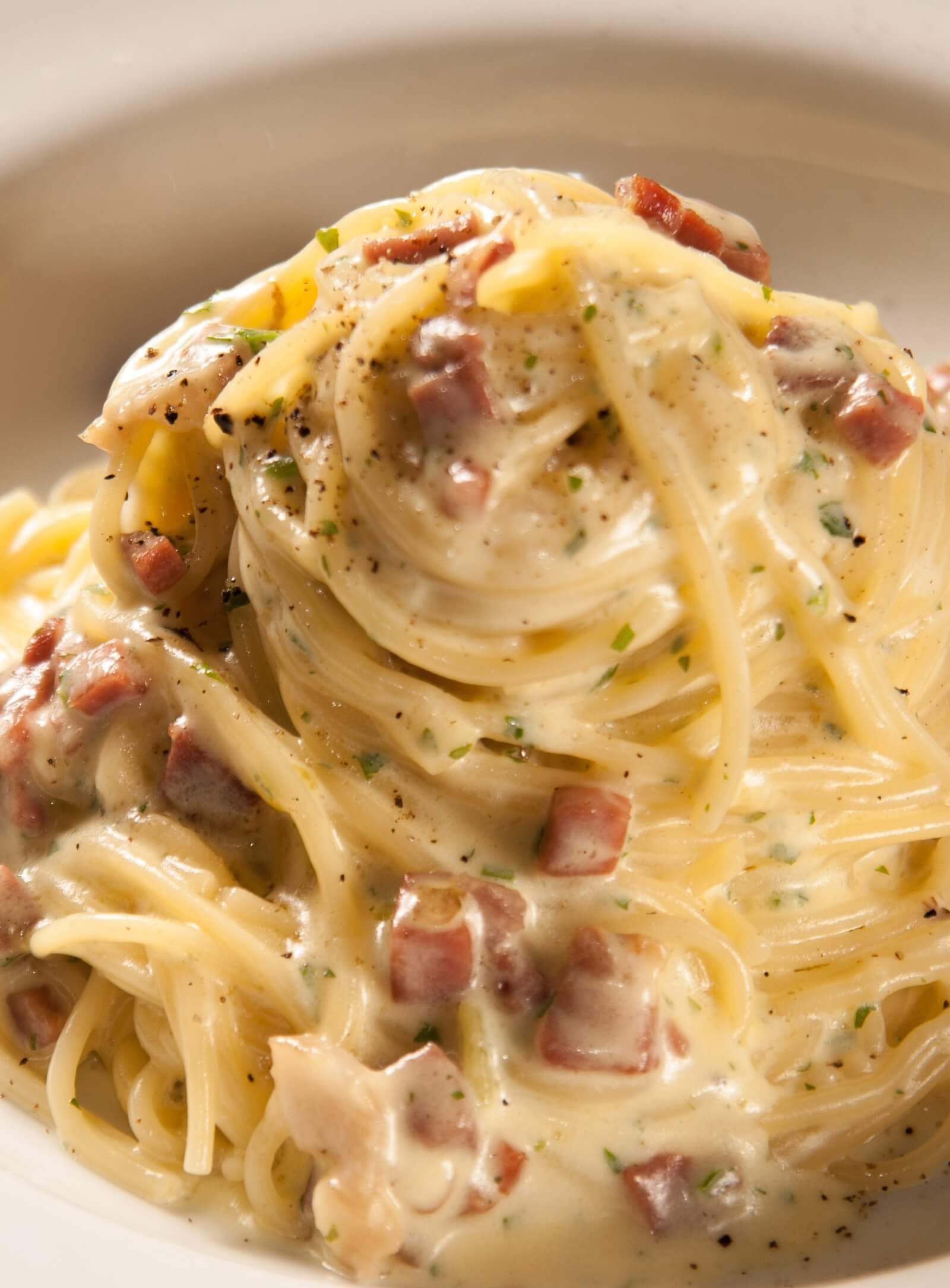 Spaghetti: La Mejor Forma de Preparar una Buena Pasta Spaghetti: La Mejor Forma de Preparar una Buena Pasta