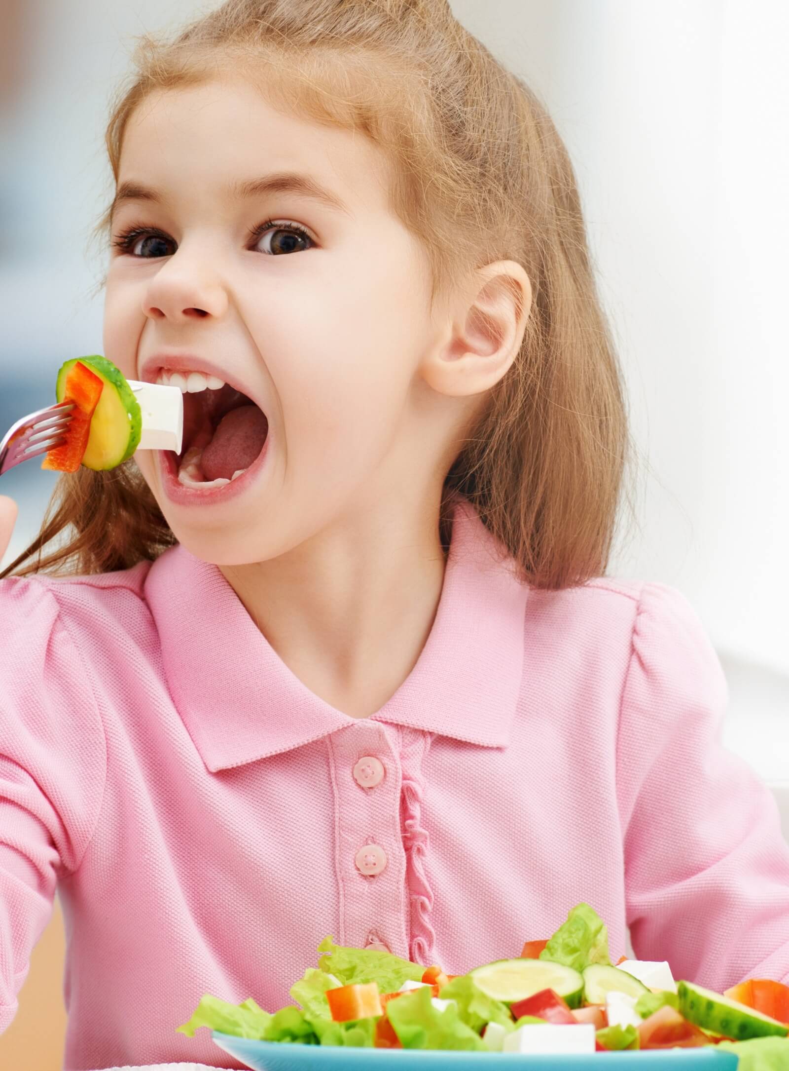 Terminan las Vacaciones y Comienzan las Clases: Meriendas y Comidas para los Más Pequeños