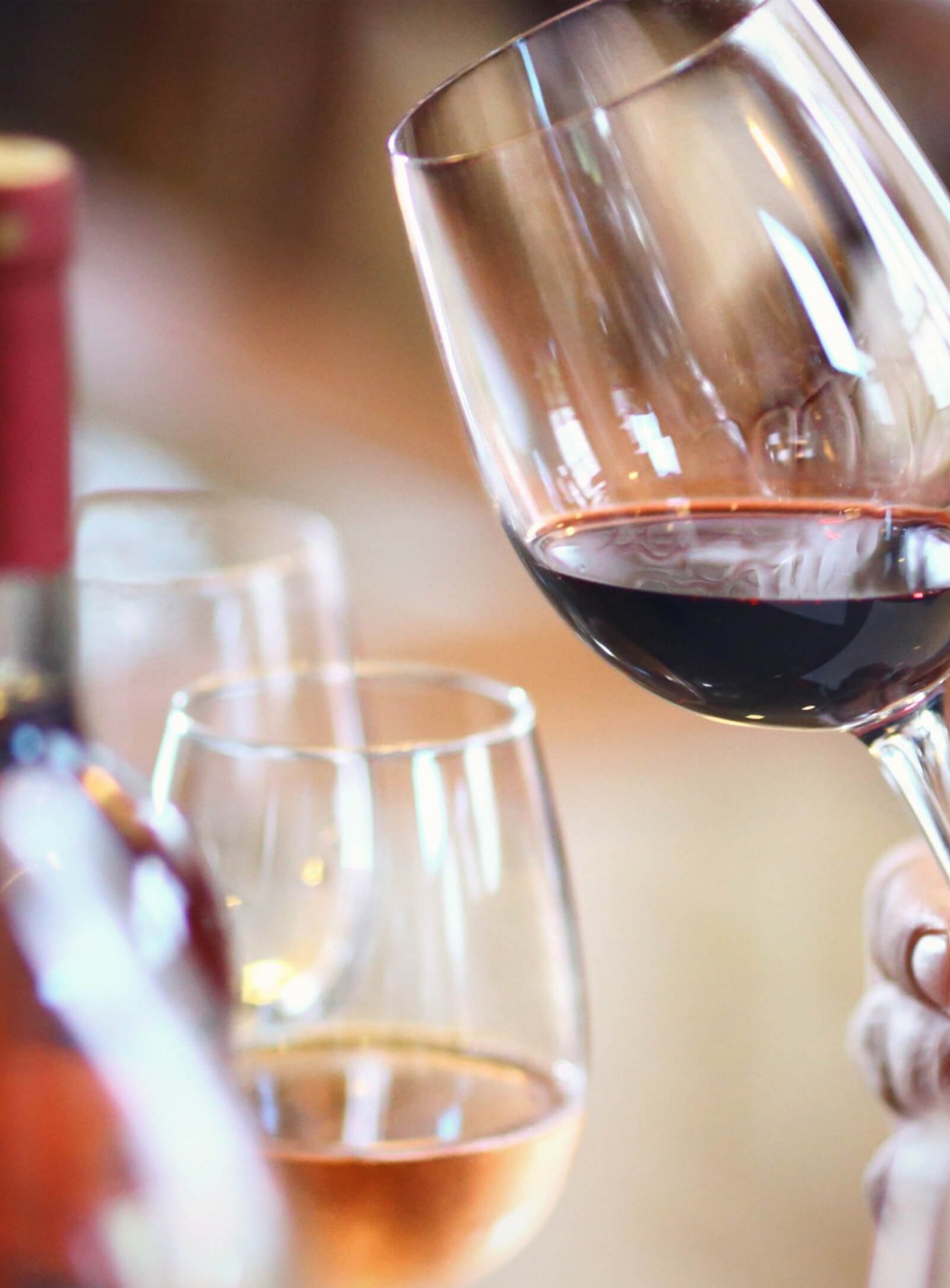 Vinos y Cocina Tradicional: Cómo Elegir el Mejor Maridaje para Cada Plato